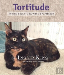 Bertrand.pt - Tortitude