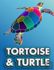 Tortoise & Turtle