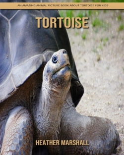 Bertrand.pt - Tortoise