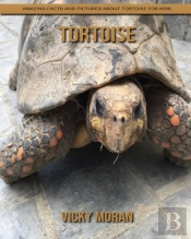 Tortoise