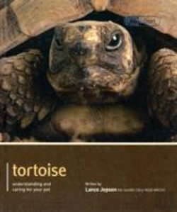 Bertrand.pt - Tortoise - Pet Expert