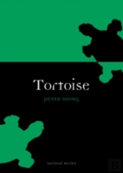 Bertrand.pt - Tortoise