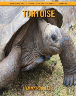 Bertrand.pt - Tortoise