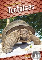 Tortoises
