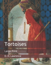 Tortoises