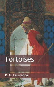 Tortoises