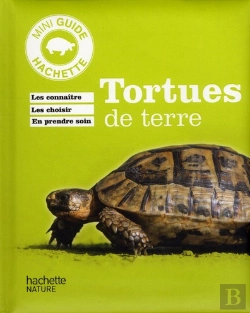 Bertrand.pt - Tortue De Terre