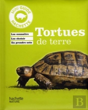 Tortue De Terre