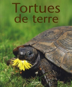 Bertrand.pt - Tortues De Terre