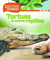 Tortues Lezards Et Autres Reptiles