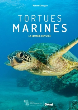 Bertrand.pt - Tortues Marines ; La Grande Odyssée