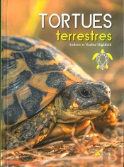 Tortues Terrestres
