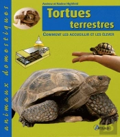 Tortues Terrestres