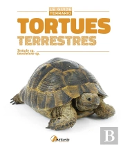 Tortues Terrestres ; Testudo Sp., Geochelone Sp.