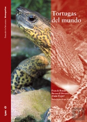 Tortugas Del Mundo