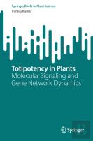 Totipotency In Plants