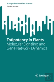 Totipotency In Plants