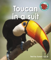 Toucan In A Suit