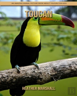 Bertrand.pt - Toucan