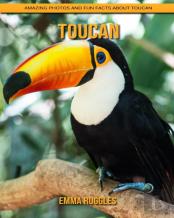 Toucan