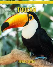 Toucan