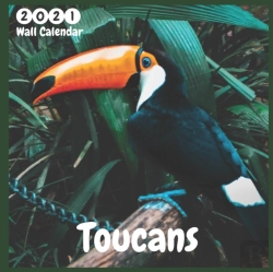 Bertrand.pt - Toucans 2021 Wall Calendar