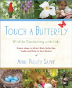 Touch A Butterfly