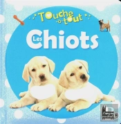 Touche-A-Tout - Les Chiots
