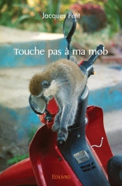Touche Pas À Ma Mob