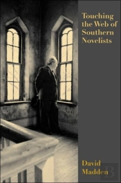 Touching The Web Of Southern Novelists