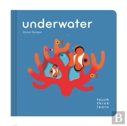 Bertrand.pt - Touchthinklearn: Underwater
