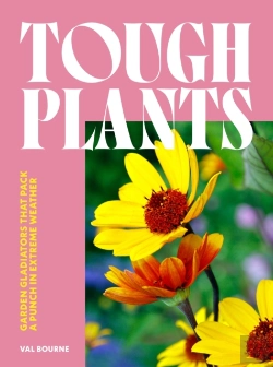 Bertrand.pt - Tough Plants