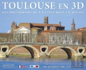 Toulouse En 3d ; Les Splendeurs Ville Rose