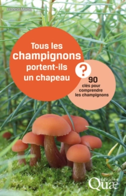 Bertrand.pt - Tous Les Champignons Portent-Ils Un Chapeau ?