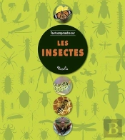 Tout Comprendre Sur/Les Insectes