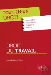 Tout-En-Un Droit : Droit Du Travail