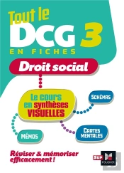 Tout Le Dcg 3 En Fiches ; Droit Social ; Le Cours En Synthèses Visuelles (Édition 2023/2024)