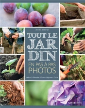 Tout Le Jardin En Pas A Pas Photos
