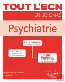 Bertrand.pt - Tout L'Ecn En Schémas ; Psychiatrie