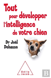 Tout Pour Développer L'Intelligence De Votre Chien