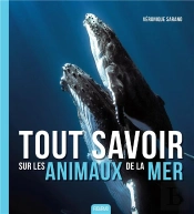 Tout Savoir Sur Les Animaux De La Mer