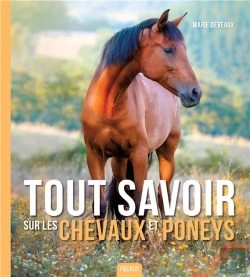 Bertrand.pt - Tout Savoir Sur Les Chevaux Et Poneys