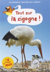 Tout Sur La Cigogne !