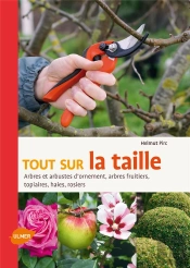 Tout Sur La Taille