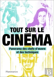 Tout Sur Le Cinema - Panorama Des Chefs-D'Oeuvre Et Des Techniques