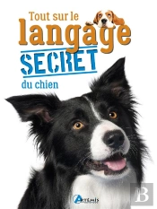 Tout Sur Le Langage Secret Du Chien