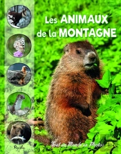 Tout Un Monde En Photos : Les Animaux De La Montagne
