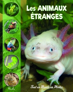Bertrand.pt - Tout Un Monde En Photos : Les Animaux Étranges Et Méconnus