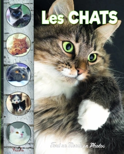 Bertrand.pt - Tout Un Monde En Photos : Les Chats
