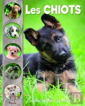 Tout Un Monde En Photos : Les Chiots